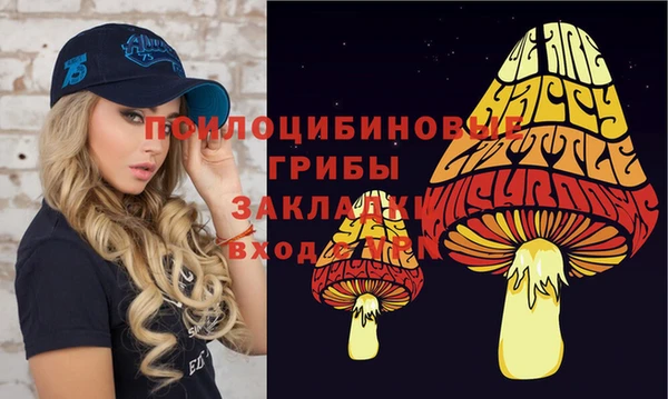 гидропоника Алексеевка