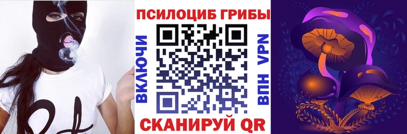 Галлюциногенные грибы Psilocybine cubensis  Бугуруслан 