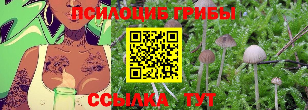 Бугуруслан  купить   Вход с VPN  Псилоцибиновые грибы Magic Shrooms 